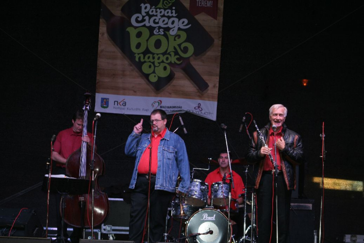 Pápai Cicege és Bornapok 2013 - Borszombat