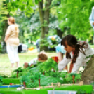 Pegazus Parádé - 2017