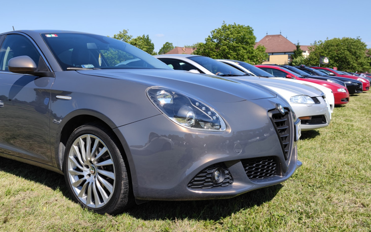 Csaknem 300 ezer forintot gyűjtöttek össze az Alfások egy beteg gyermekeket segítő alapítvány számára