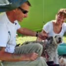 2 x CAC Nemzeti Kutyakiállítás – Pápa