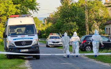 Nyakonszúrta 30 éves áldozatát a Pápa környéki férfi 