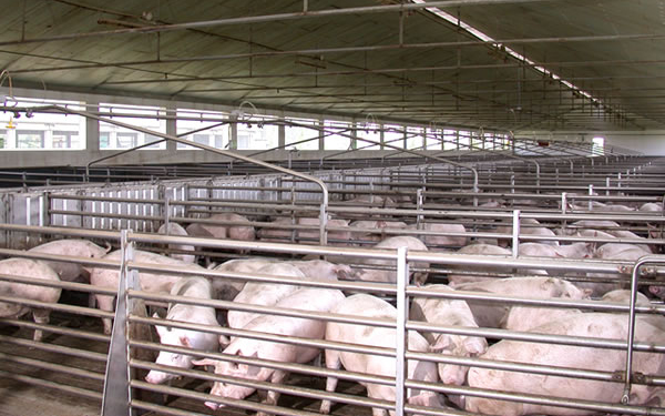 Pápai Hús: Választott bírói bizottság rendezné a beszállítókkal fenálló vitát