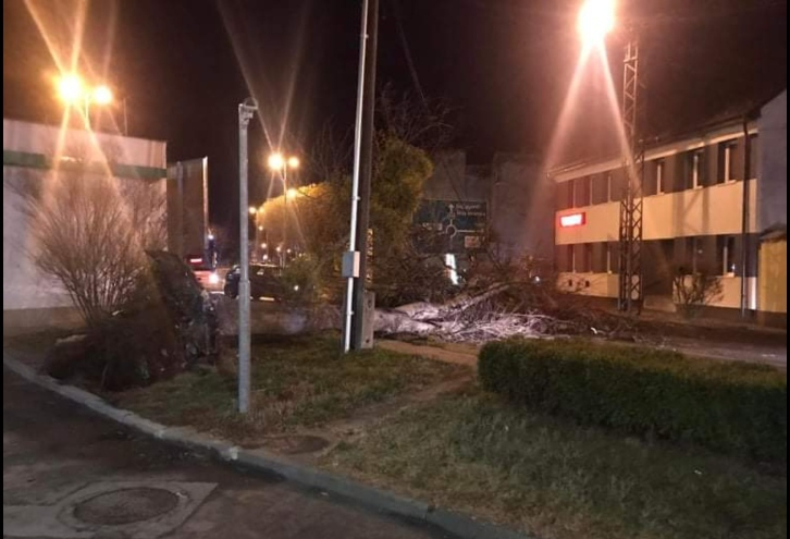 Megérkezett a szélvihar, úttestre dőlt egy fa a Budai Nagy Antal úton