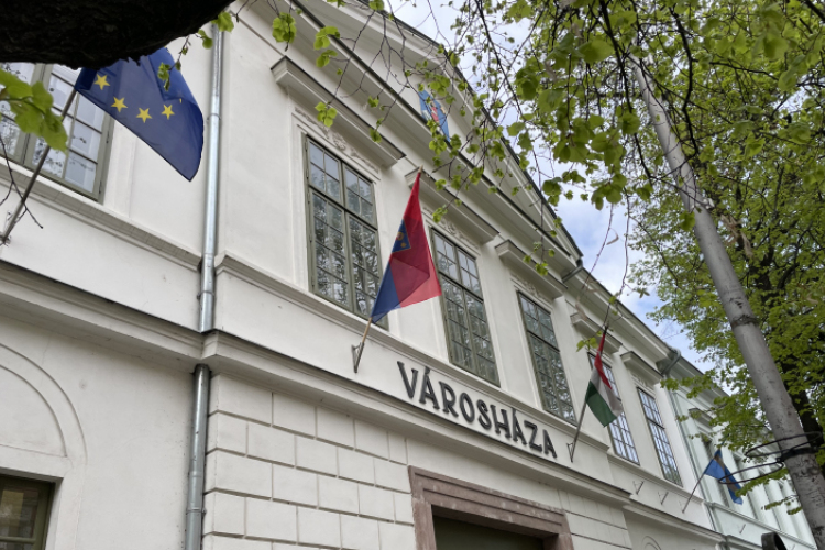 Eladná az önkormányzat a Pedotthont