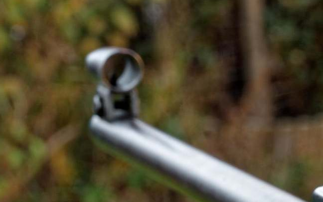 Légpuskával lődözte a feketerigókat, felfüggesztett börtönbüntetést kaphat állatkínzásért a 80 éves férfi