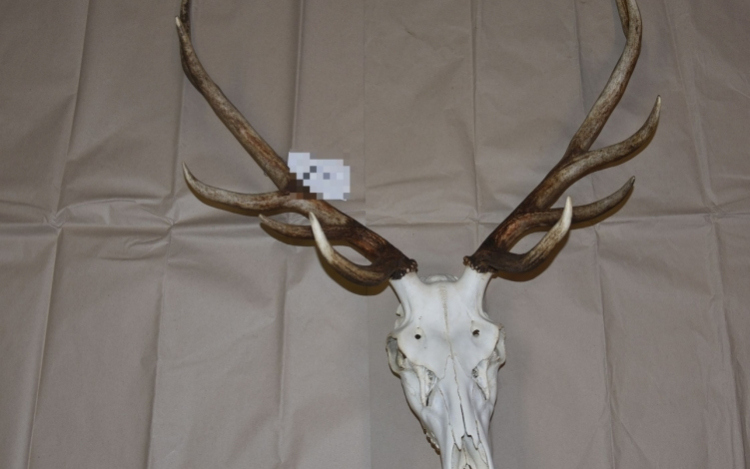 Agancstolvajokat fogtak el a rendőrök