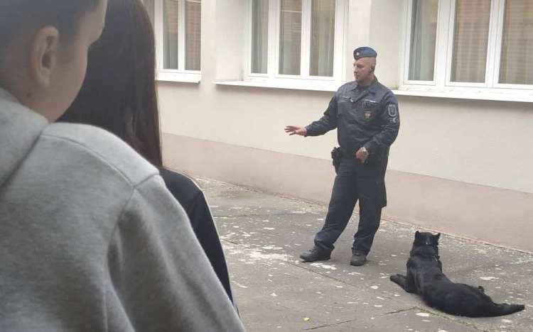 Fókuszban az állatvédelem