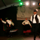 Szent Márton-napi Újbor Ünnepe - Pápa - 2018