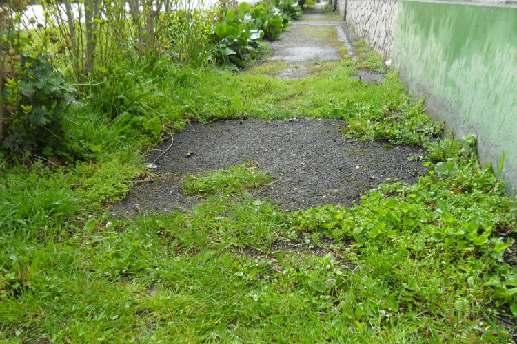 Újjáépítik a Kilencedik utca járdáit