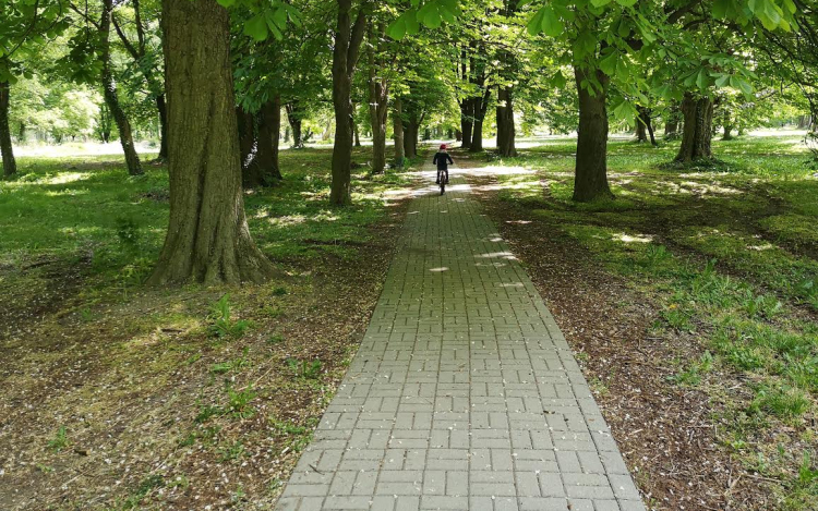 Bontják a térköves járdákat a Várkertben