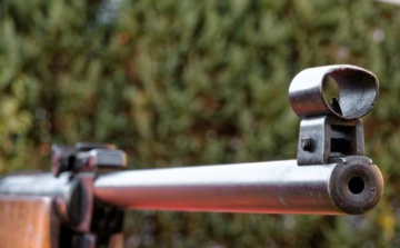 Légpuskával lőtte meg a szomszédja kutyáját