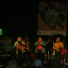 Pápai Cicege és Bornapok 2013 - Borszombat