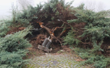 Egy pápai férfi döntötte le autójával a győri Radnóti-szobrot