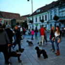 Flashmob az Állatok Világnapján - Pápa