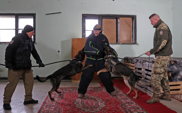 Közös járőrkutya kiképzés a Bázisrepülőtéren