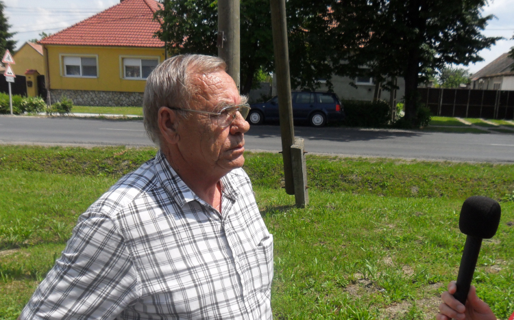 Borsosgyőri zebrák: Már folynak az előkészületek