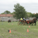 Pápai Agrárexpo 2017 - Szombat