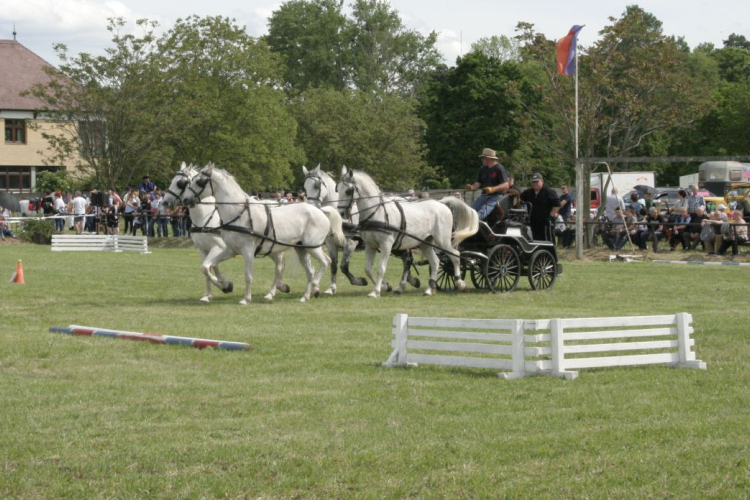 Színes programok a tizedik Lovasmajálison
