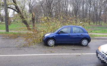 Vihar: Pápán autóra dőlt egy fa