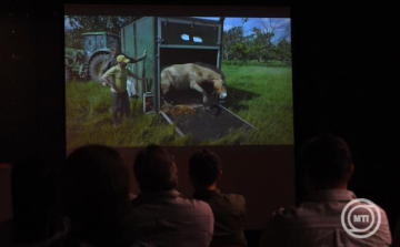 A Hortobágyról telepítenek vissza vadlovakat Kazahsztánba