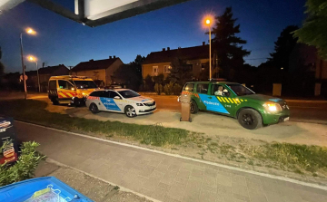 Késelés történt a Gróf úton?