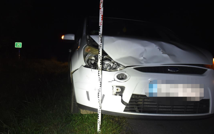 Továbbra is sok a vadgázolás