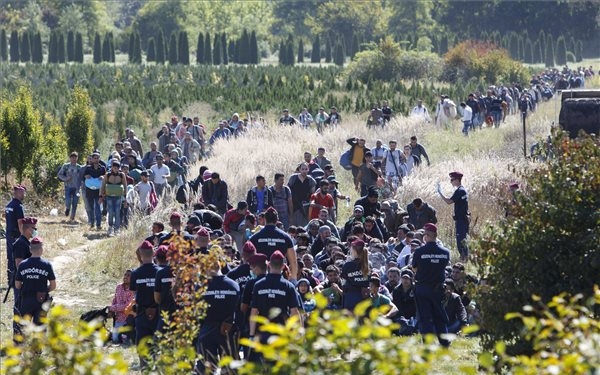 Mérsékelten csökkent a migránsok száma a nyugat-balkáni országok szigorítása után