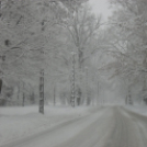 40 cm hó Pápán - 2013