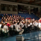 Csináljuk a Fesztivált