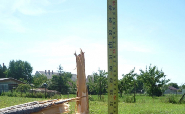 Megrongálta a díszfát