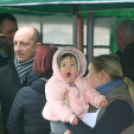 2. Nemesgörzsönyi Böllérfesztivál