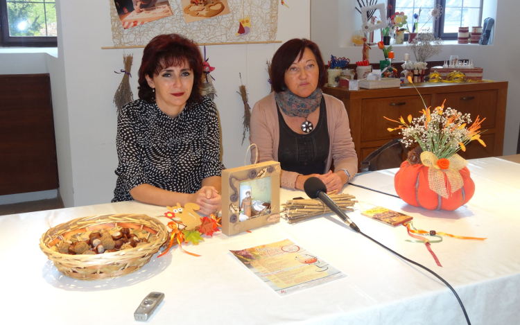 Pénteken és szombaton liba napok és újbor ünnep a kastélyudvaron