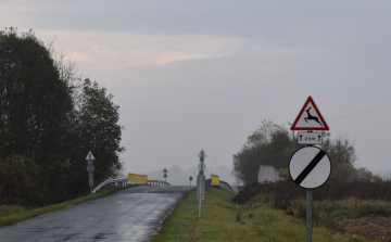 Egy nap alatt három vadbaleset is történt Veszprém megye közútjain