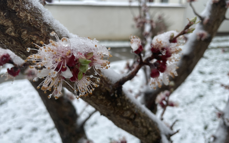 Áprilisi havazással indult a választás napja