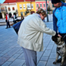 Flashmob az Állatok Világnapján - Pápa