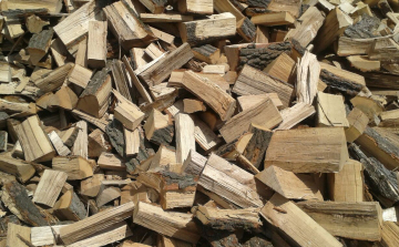 A Jobbik senkit sem hagyna az út szélén