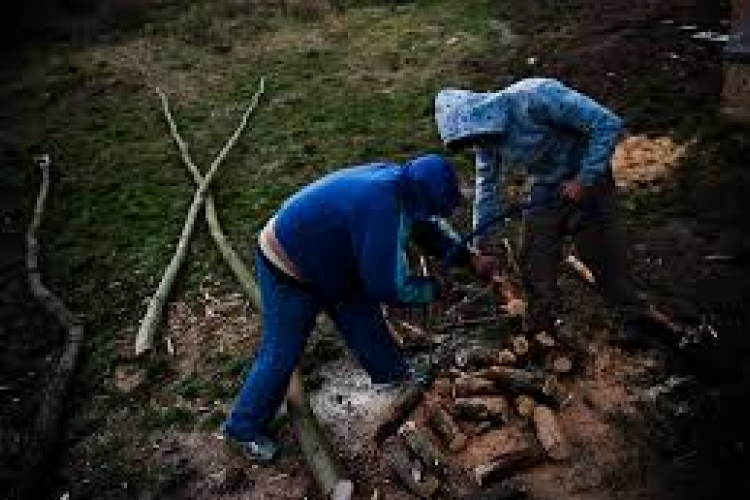 Fatolvaj rendőrkézen