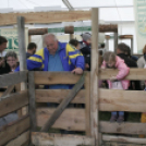 Pápai Agrárexpo 2017 - Szombat