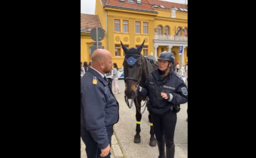 Lovas rendőrök is bemutatkoztak a Pápai Rendőrkapitányság nyílt napján - Videó