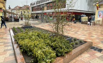 Zöld szigetek a Kossuth utcán