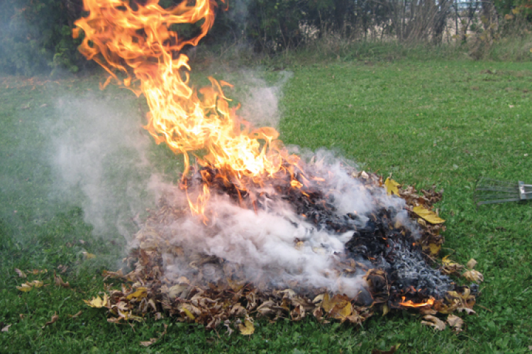 Betiltják az avarégetést Magyarországon