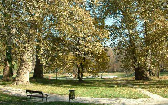 Zöld város projekt: Csütörtökön lakossági fórumot tartanak a Várkertben!