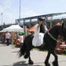 XX. Pápai Agrárexpo - Szombat