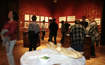 Rendhagyó kiállításmegnyitó az Esterházy-kastélyban