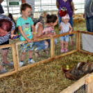 Pápai Agrárexpo - 2018 - Vasárnap