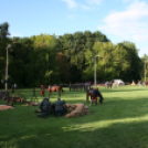 Pápai Történelmi Napok - Hadijáték