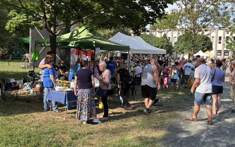 Csaknem 500 ezer forint gyűlt össze a városrészi napon