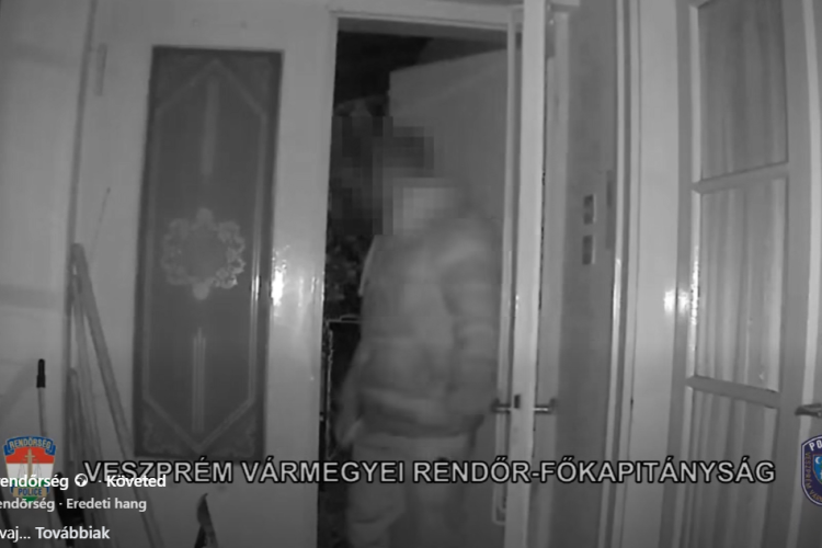 Autógumikat lopott, elfogták