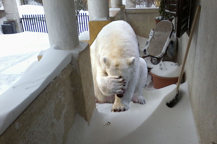 Havazás - Ahogy olvasóink látják