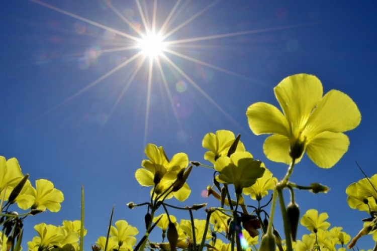 Végre itt a jó idő!